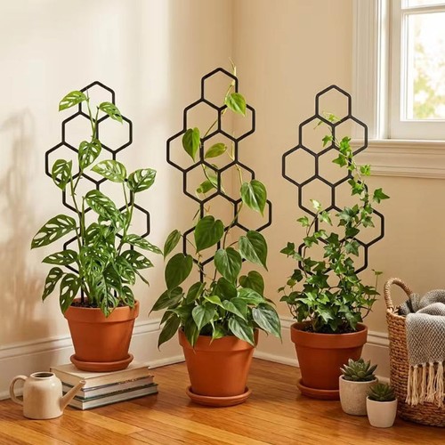 Pack honeycomb plant trellis - 2-pack,