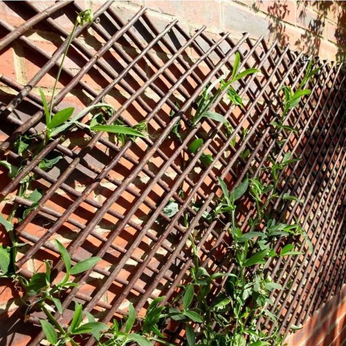 Willow trellis expanding - willow,