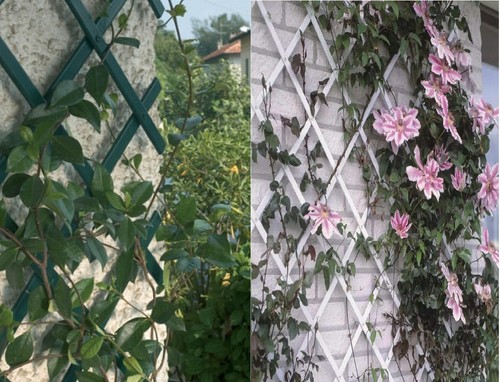 Expanding garden pvc plastic - expanding,