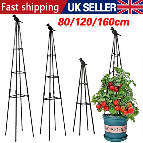 Outdoor garden obelisk - 1.6m,