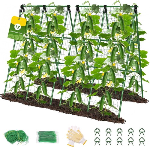 Cucumber trellis frame - cucumber,