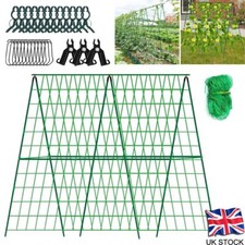 Garden Trellis for Cucumbers