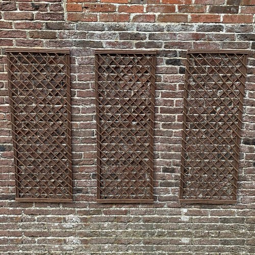 Willow garden trellis - trellis, panels