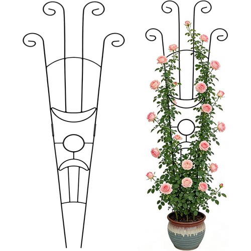 Garden trellis for climbing - garden,