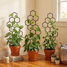 2-Pack Honeycomb Plant Trellis