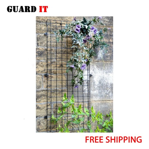 Wall mounted wire mesh garden - wire,