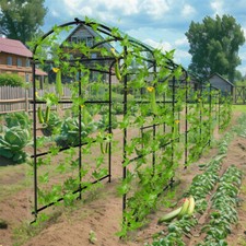 220cm Garden Arch Trellis