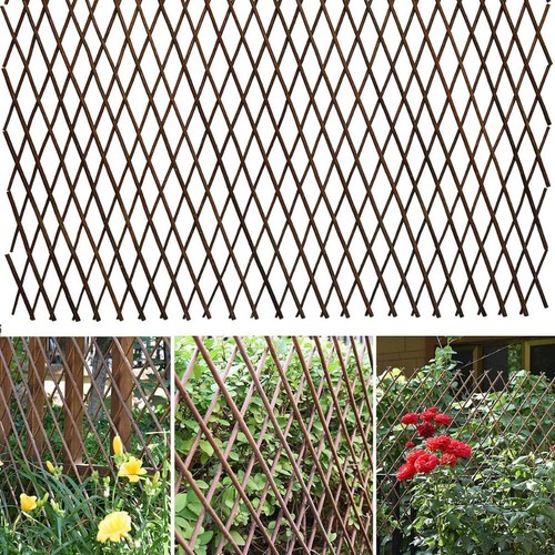 Expandable willow decorative - willow,