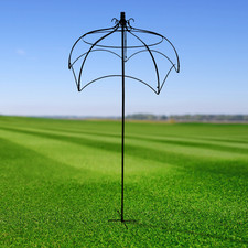 Umbrella Plant Support Trellis