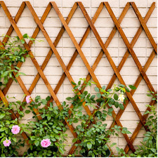 6ft Wooden Garden Trellis