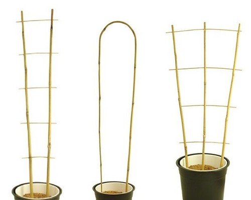 Bamboo cane plant pot trellis - bamboo,