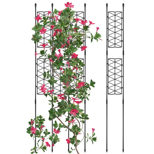 Pack inches garden - 6,