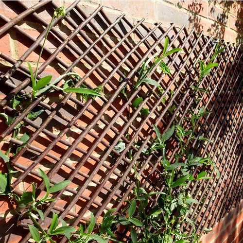 Willow decorative landscaping - decorative,