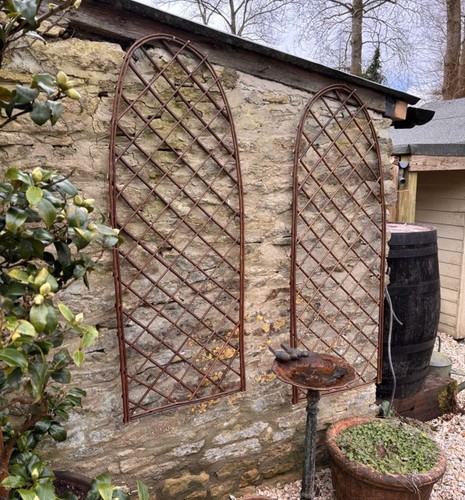 Willow trellis panel - trellis,